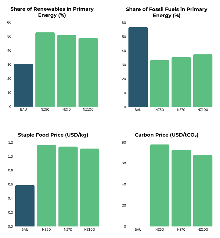 A series of four bar charts in a grid showing share of renewables in primary energy, share of fossil fuels in primary energy, staple food price, and carbon price across four different net-zero timeline scenarios in Nigeria.